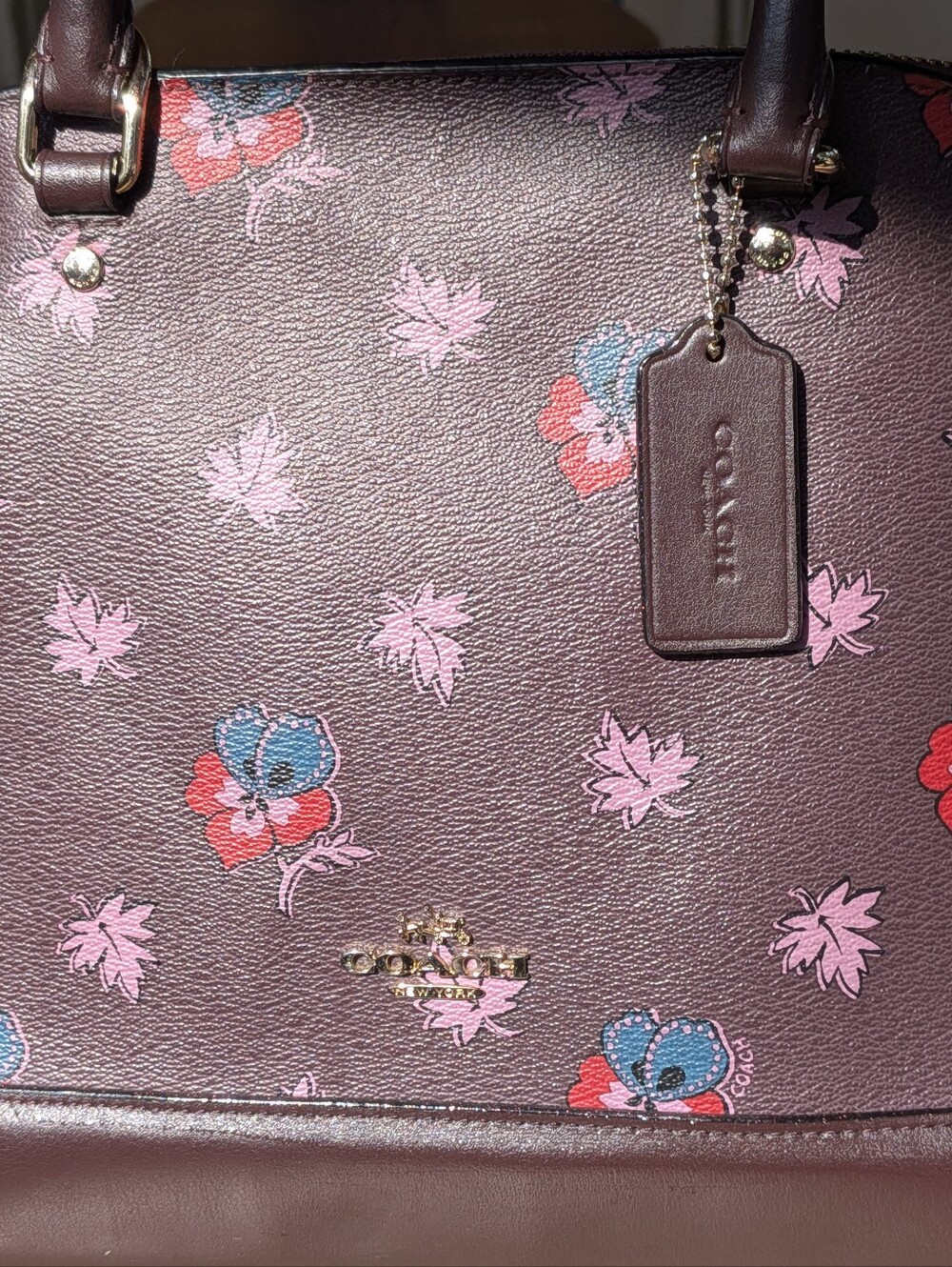 Coach Sierra Wildflower Floral Butterfly Print Satchel F11919